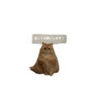 愛ねこレノンの日常スタンプ（個別スタンプ：2）