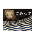 サンさんとニケたん（個別スタンプ：2）