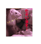 サンさんとニケたん（個別スタンプ：7）