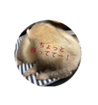 サンさんとニケたん（個別スタンプ：8）