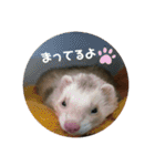 サンさんとニケたん（個別スタンプ：9）