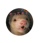 サンさんとニケたん（個別スタンプ：10）