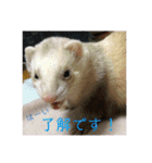 サンさんとニケたん（個別スタンプ：12）