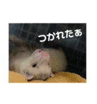 サンさんとニケたん（個別スタンプ：14）