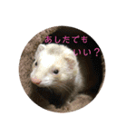 サンさんとニケたん（個別スタンプ：16）