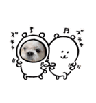 なっちゃんの1日（個別スタンプ：4）