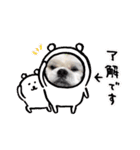 なっちゃんの1日（個別スタンプ：11）