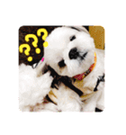 なっちゃんの1日（個別スタンプ：24）