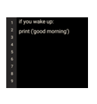 プログラミング言語風スタンプ(Python)（個別スタンプ：2）