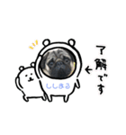 大撫獅愛FAMILY（個別スタンプ：1）