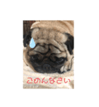 大撫獅愛FAMILY（個別スタンプ：2）