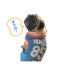 大撫獅愛FAMILY（個別スタンプ：5）