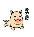 【公認】マムシに噛まれた犬 ぷっちゃん（個別スタンプ：6）