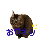 ポカstamp（個別スタンプ：2）