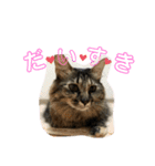 ポカstamp（個別スタンプ：7）