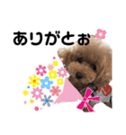 ぷてぃおだよ（個別スタンプ：3）