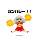 ぷてぃおだよ（個別スタンプ：4）