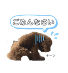 ぷてぃおだよ（個別スタンプ：7）