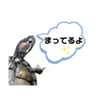 かめきちのつぶやき No. 1（個別スタンプ：14）
