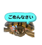 かめきちのつぶやき No. 1（個別スタンプ：29）