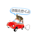 かめきちのつぶやき No. 1（個別スタンプ：35）