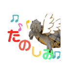 かめきちのつぶやき No. 1（個別スタンプ：36）
