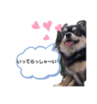愛犬ネネ①（個別スタンプ：5）
