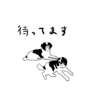 遊と陽の毎日（個別スタンプ：1）