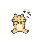 サバトラちゃんとクロネコちゃん（個別スタンプ：15）