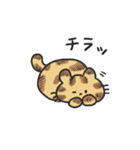 サバトラちゃんとクロネコちゃん（個別スタンプ：25）
