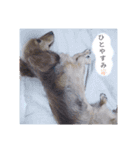 COCOLOO（個別スタンプ：4）