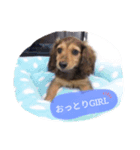 COCOLOO（個別スタンプ：5）