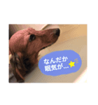COCOLOO（個別スタンプ：7）