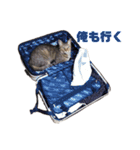 世界1可愛いきみたち（個別スタンプ：4）