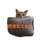 世界1可愛いきみたち（個別スタンプ：11）