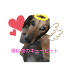 ぷぅ…（個別スタンプ：1）