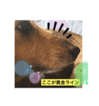 ぷぅ…（個別スタンプ：2）