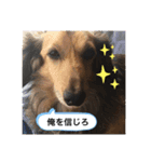ぷぅ…（個別スタンプ：3）