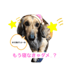 ぷぅ…（個別スタンプ：4）