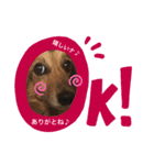 ぷぅ…（個別スタンプ：5）