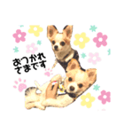 2wins チワワ1（個別スタンプ：4）