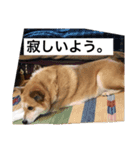 おけつけつけつ8（個別スタンプ：6）