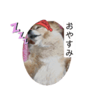 あぶりさーもんですね（個別スタンプ：2）