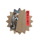 あぶりさーもんですね（個別スタンプ：3）