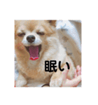 あぶりさーもんですね（個別スタンプ：4）
