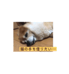 あぶりさーもんですね（個別スタンプ：6）