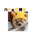 あぶりさーもんですね（個別スタンプ：8）