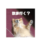 あぶりさーもんですね（個別スタンプ：9）