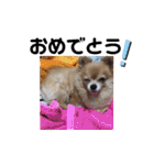 あぶりさーもんですね（個別スタンプ：18）