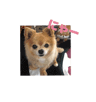 あぶりさーもんですね（個別スタンプ：20）